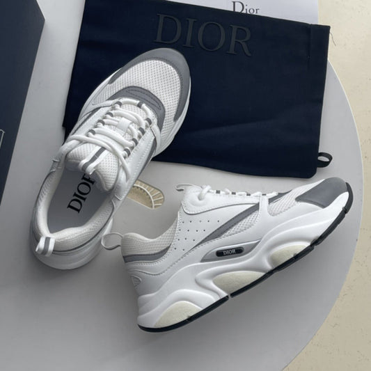 Dior B22